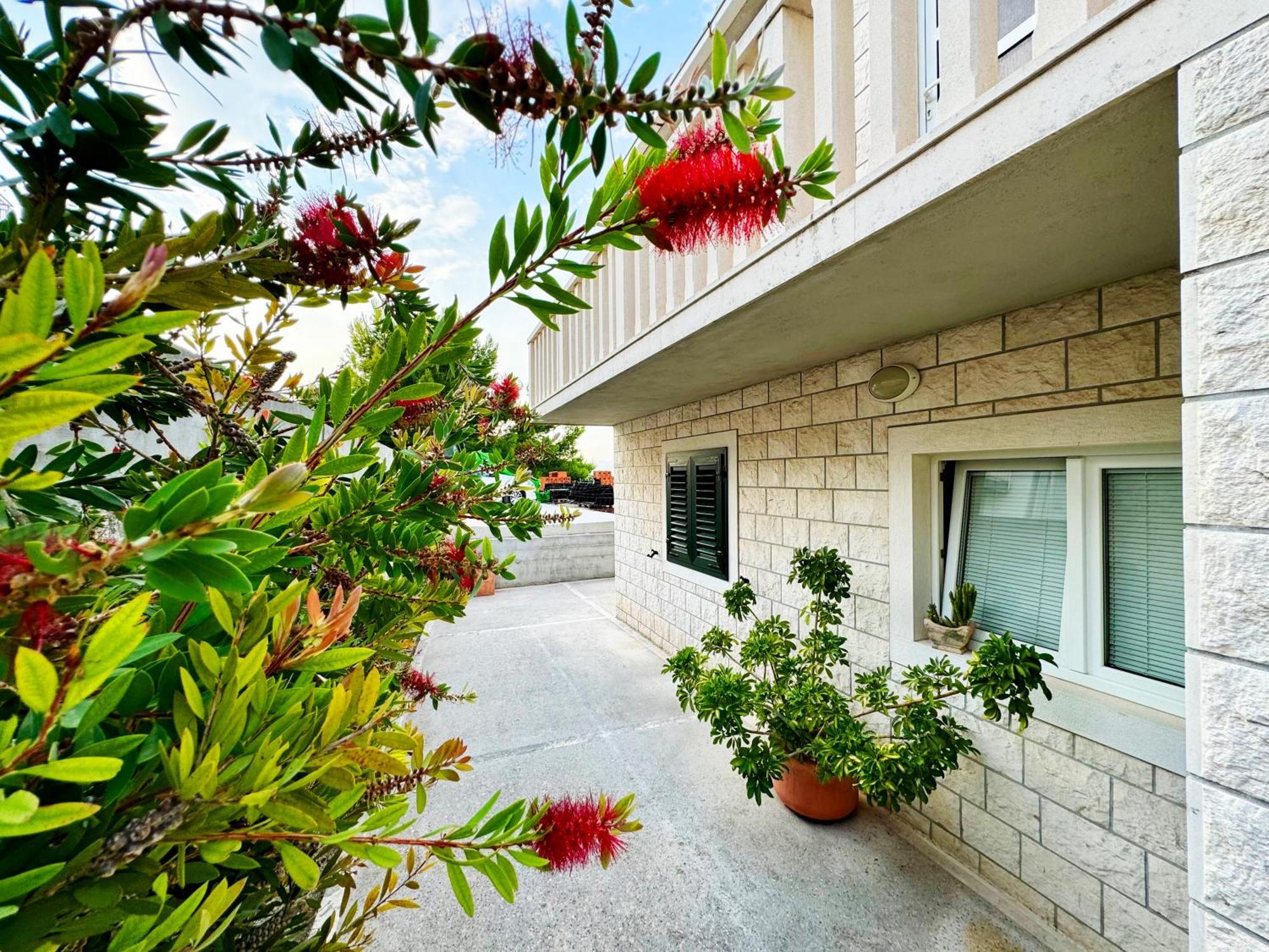 Apartment Baloevic *